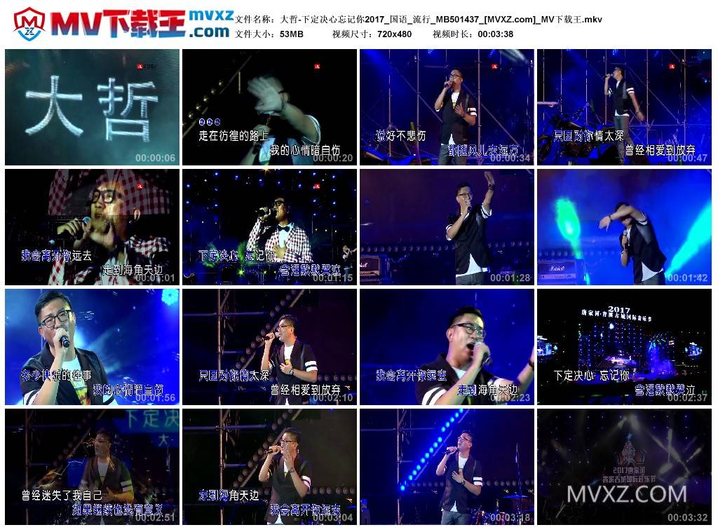 大哲-下定决心忘记你2017_国语_流行_MB501437